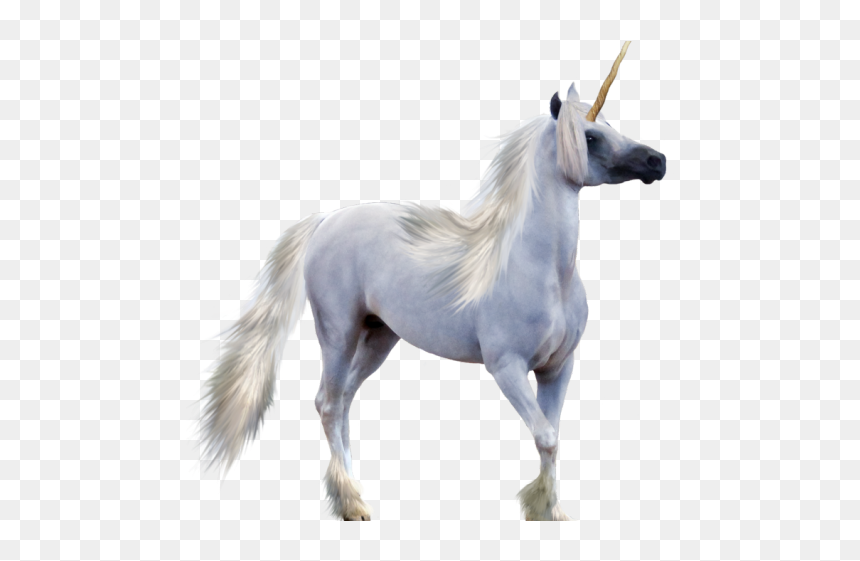 Unicorn Png Transparent Images - Pegasus Horse With Horn, Png Download - unicorn png