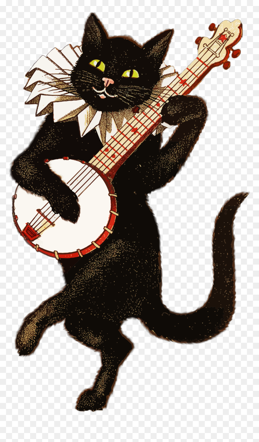 Cat Playing Banjo, HD Png Download - cat png