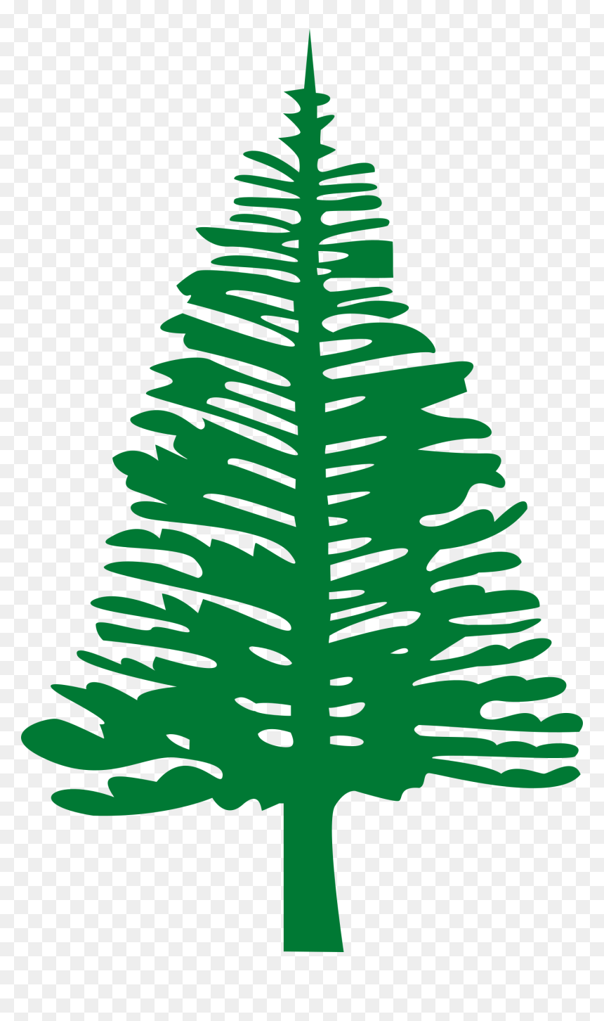 Pine Trees Png - Norfolk Island Flag, Transparent Png - christmas tree png