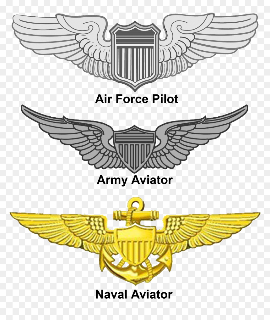 Aviation Wings - Navy Air Force Wings, HD Png Download - wings png