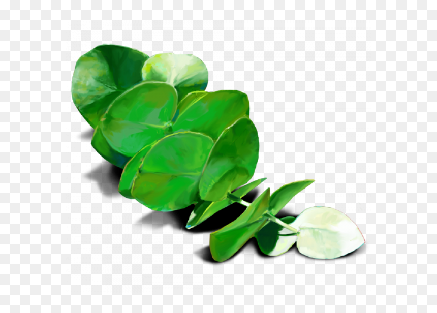 Transparent Eucalyptus Leaf, HD Png Download - leaves png