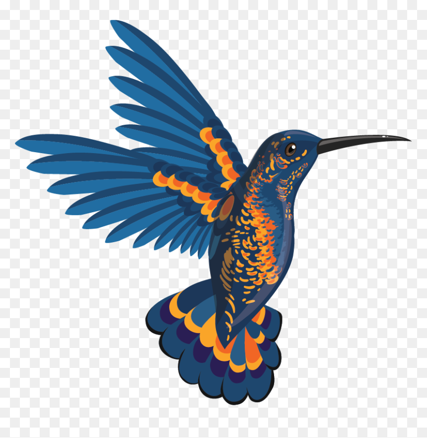 Bird In Flight Illustration, HD Png Download - birds png
