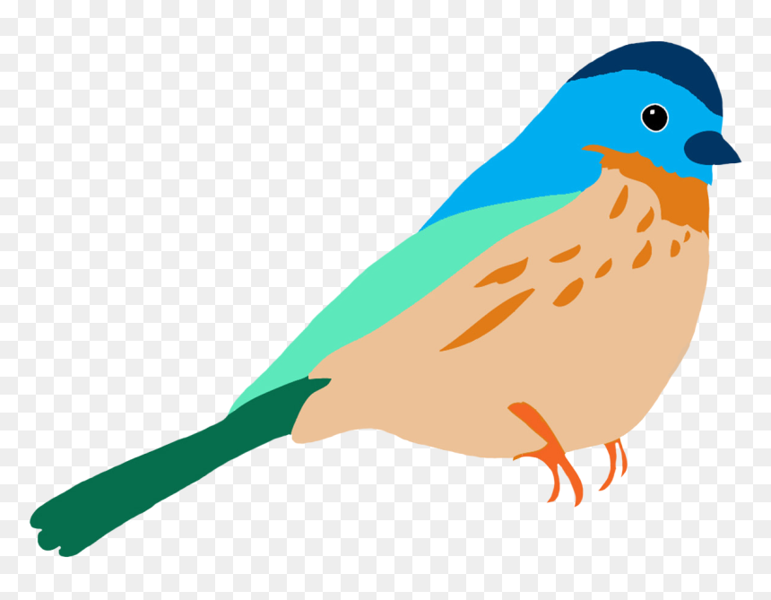 Graasisken Colored - Drawing Of Bird With Colour, HD Png Download - bird png