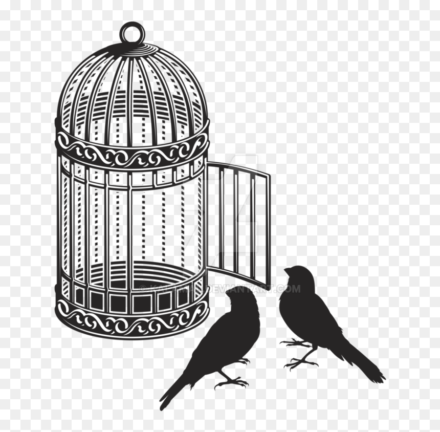 Cage Bird Png Image - Bird Cage Illustration Black And White, Transparent Png - bird png