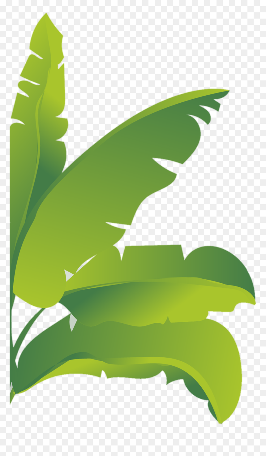 Banna Leaf Png - Illustration, Transparent Png - leaf png
