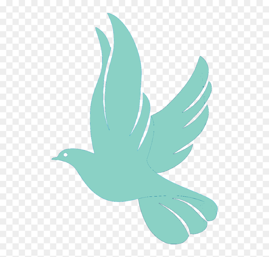 60 White Doves $350 - Stock Dove, HD Png Download - dove png