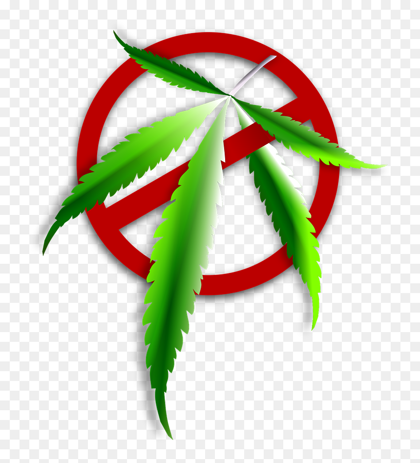 Icon Narkoba Png, Transparent Png - weed png