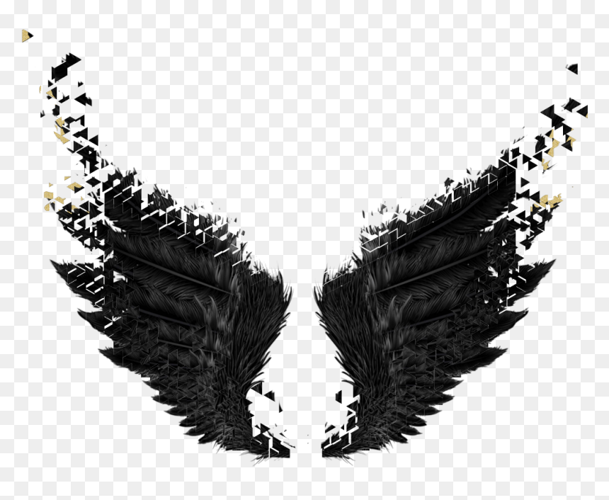 Wings Black Gold Dark Angel Fairytail - Dark Angel Wings Png, Transparent Png - wings png