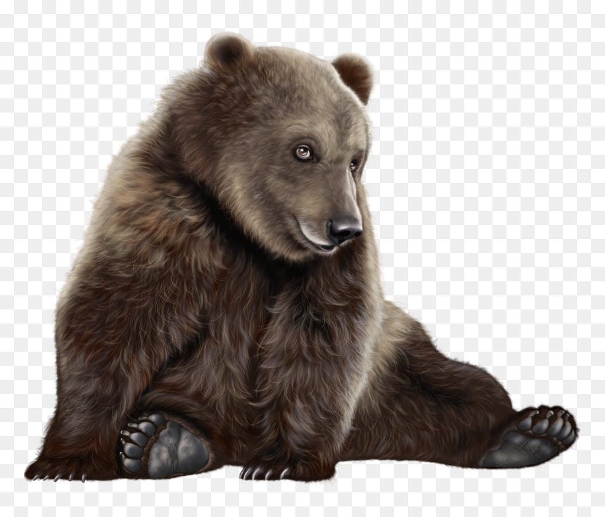 Bear Png Clip Art - Realistic Bear Clip Art, Transparent Png - bear png