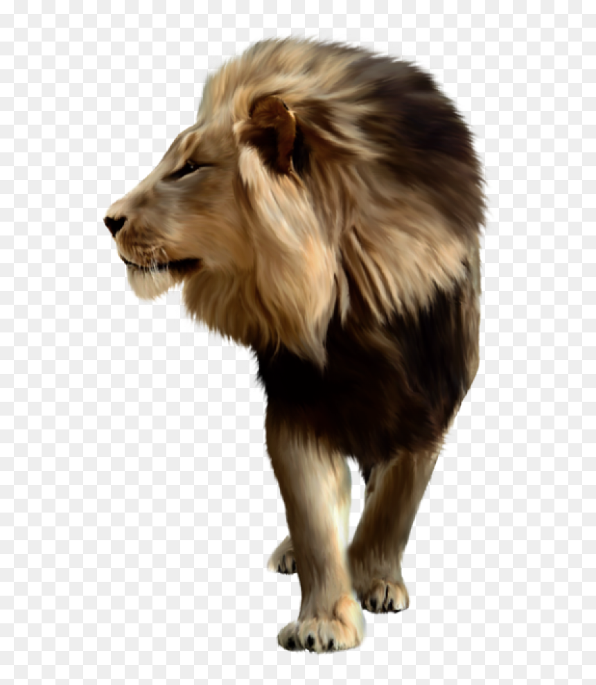 Lion Png Free Download - Lion Png For Picsart, Transparent Png - lion png