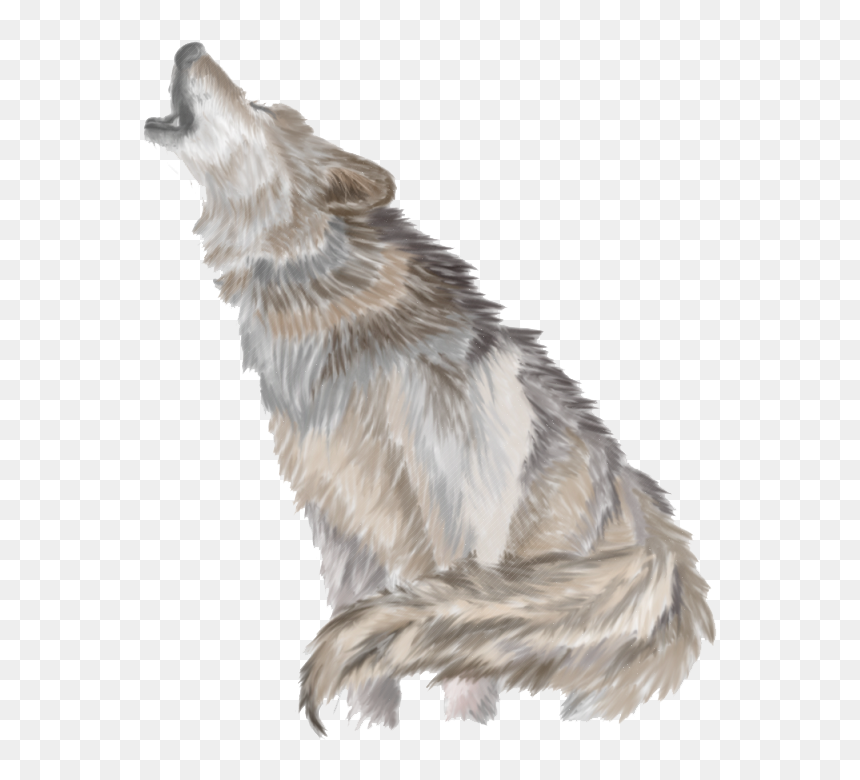 Wolf Howling Png Transparent, Png Download - wolf png