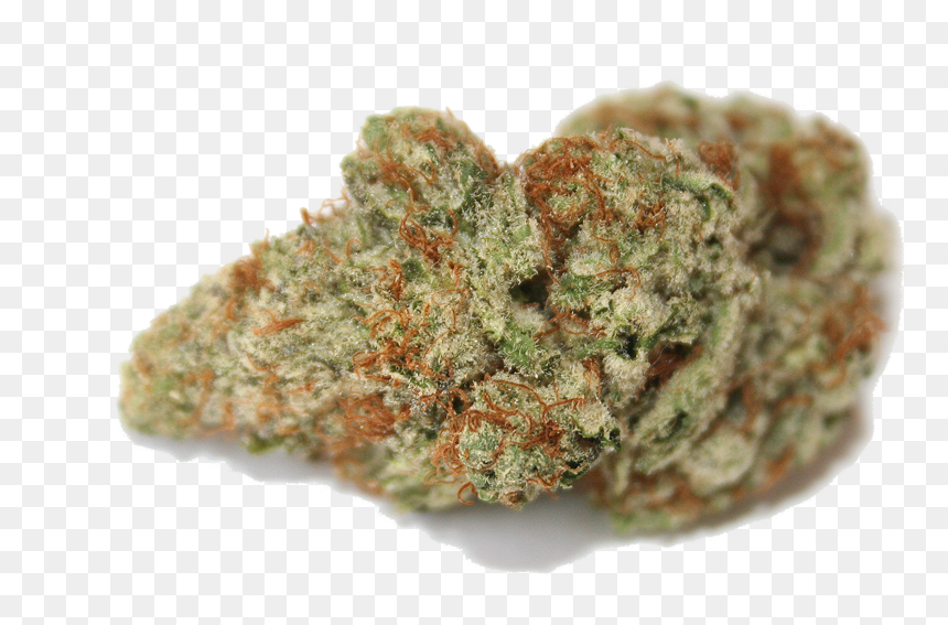 “hi, I’m Bubba, Your Sample Gram - Gram Of Weed Png, Transparent Png - weed png
