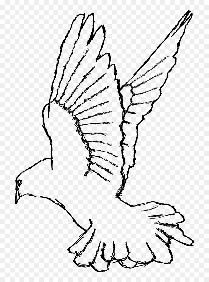 Thumb Image - Png Drawing Of White Dove, Transparent Png - dove png