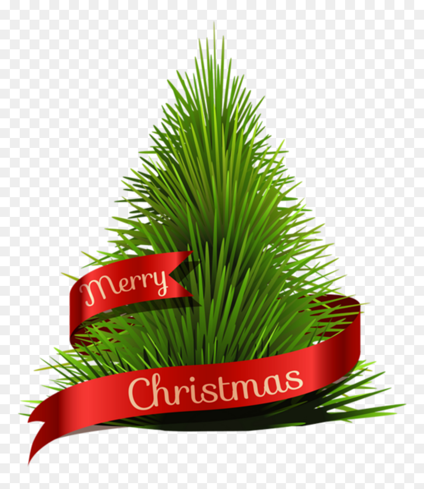 Christmas Tree Hd Png, Transparent Png - merry christmas png