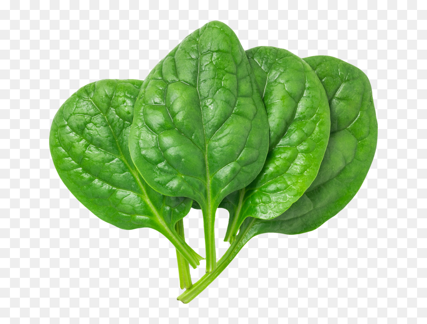 Pin By Free Png Image On Png Foods And Drinks Images - Spinach Png, Transparent Png - leaves png