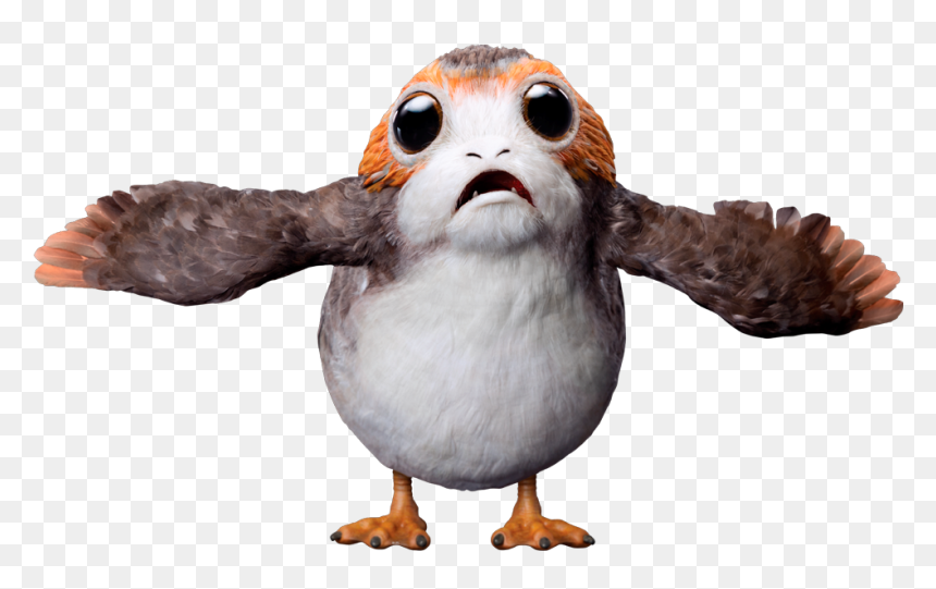 Premium Eras Canon - Star Wars Porg Png, Transparent Png - bird png