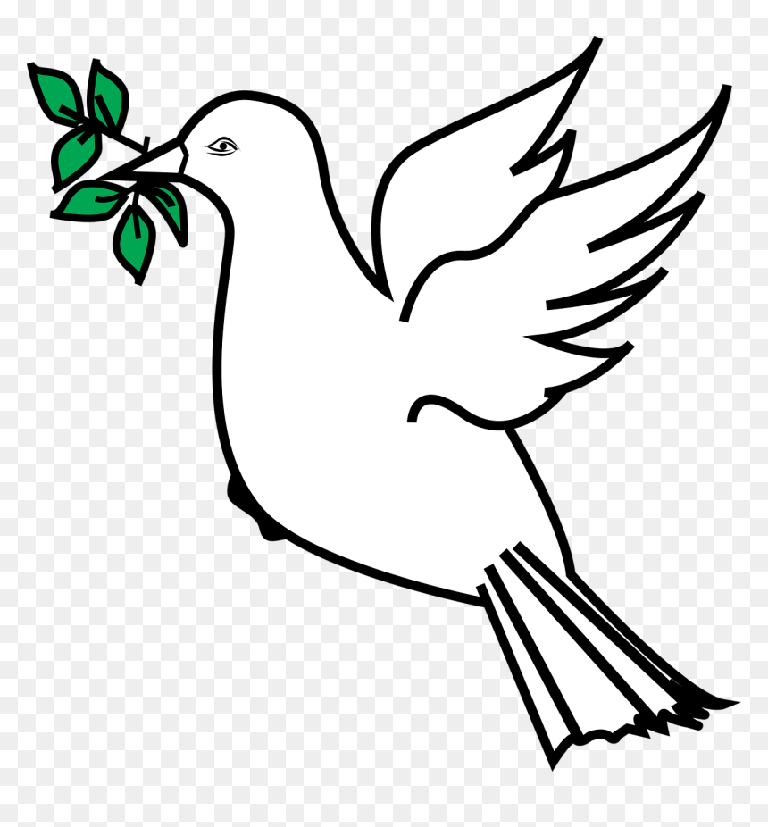 Dove With Olive Branch Clip Art, HD Png Download - dove png