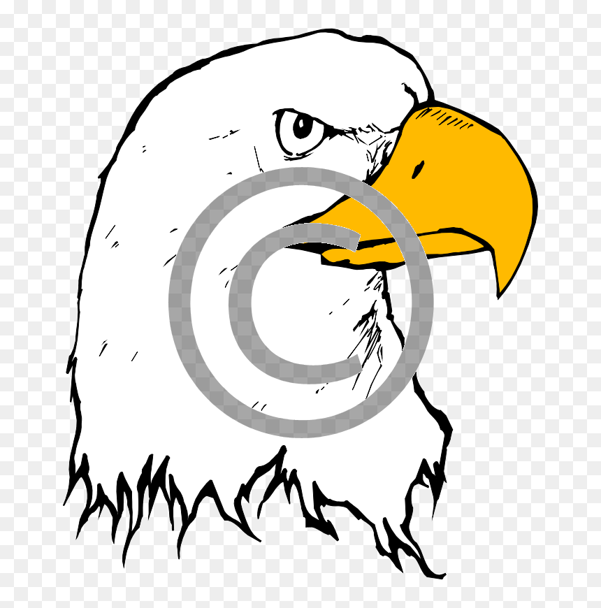 Cartoon Eagle Black And White, HD Png Download - eagle png