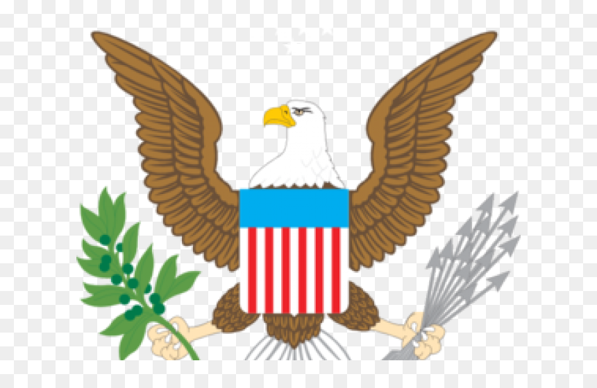 Transparent Bald Eagle Png, Png Download - eagle png