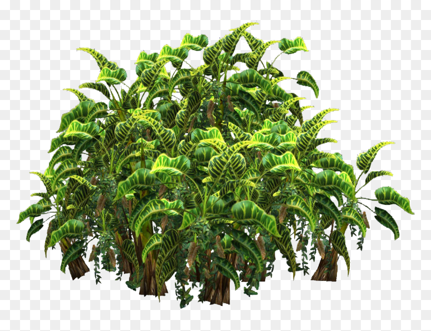 Plants Png Transparent Top View - Transparent Background Plants Png, Png Download - plant png