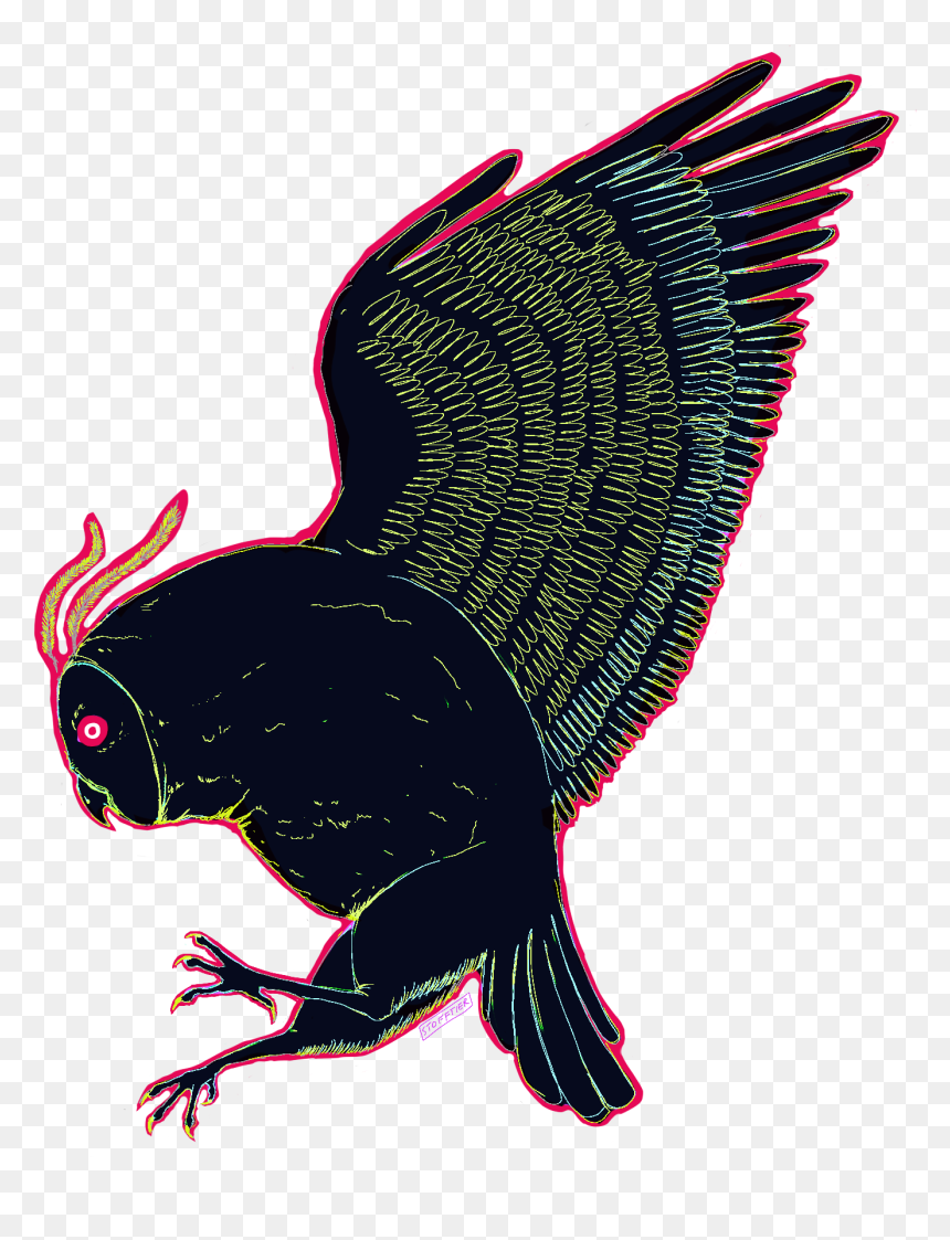 Eagle , Png Download - Eagle, Transparent Png - eagle png