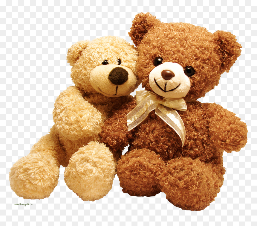 Teddy Bear Png, Transparent Png - bear png