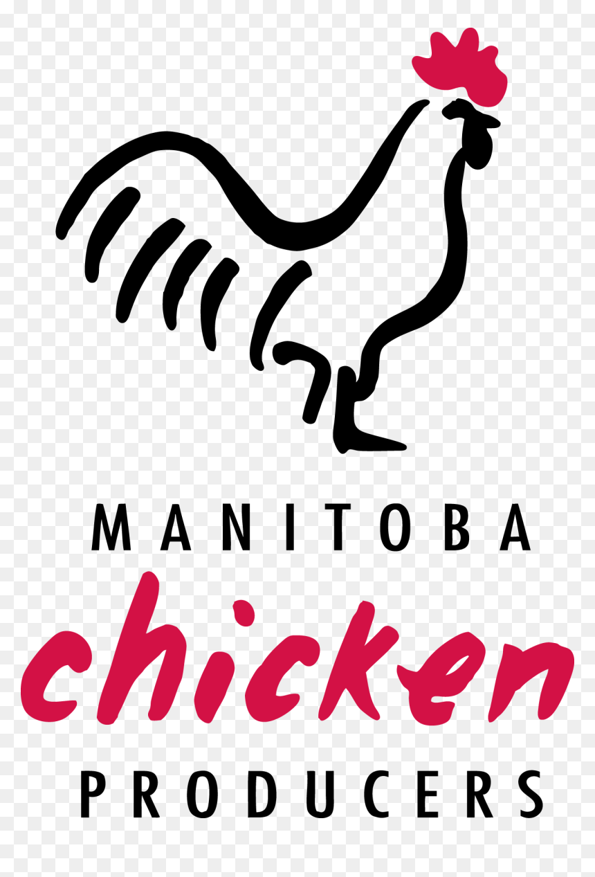 Rooster, HD Png Download - chicken png