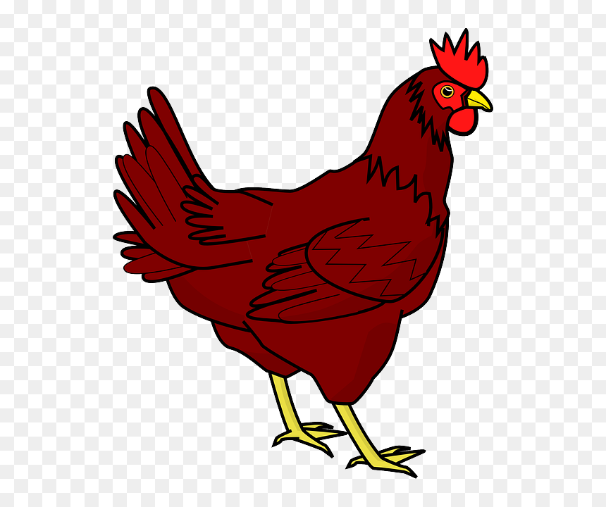 Download Chicken Png Transparent Image - Red Hen Clip Art, Png Download - chicken png