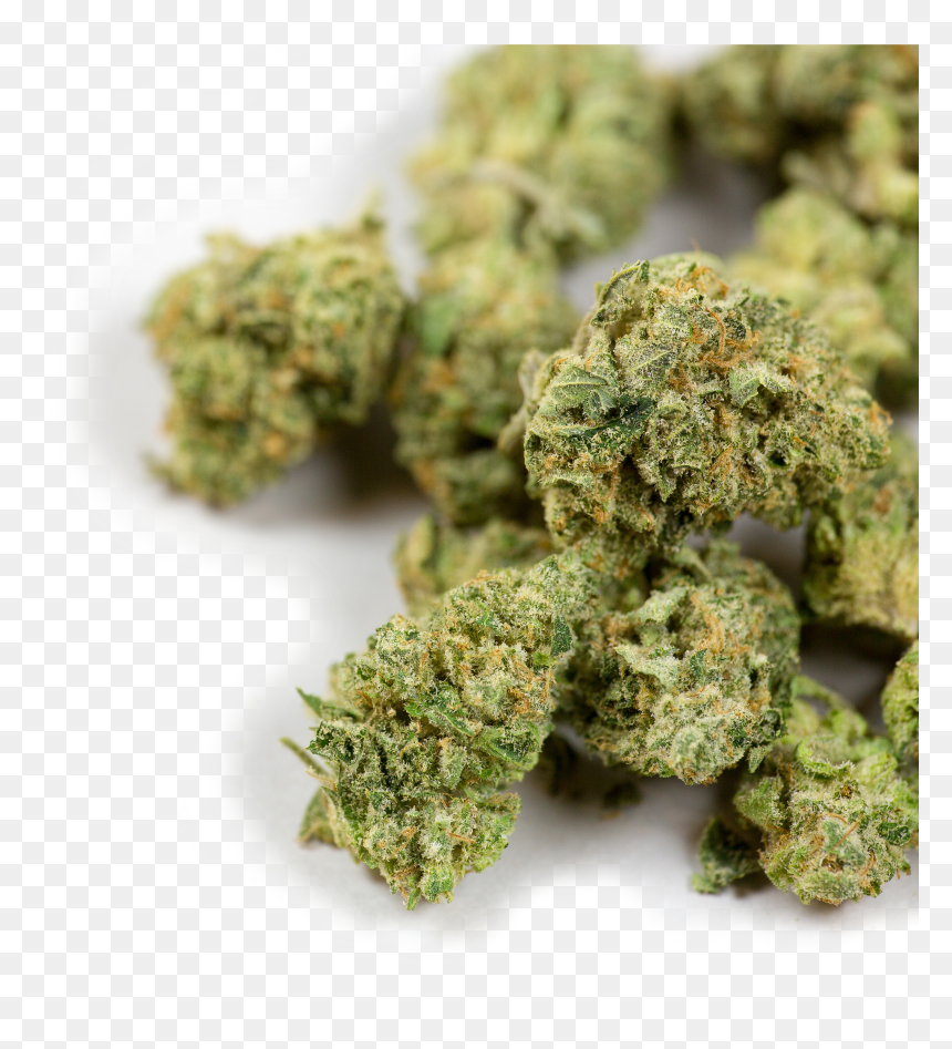 War On Weed, Hd Png Download, Transparent Png - blunt png