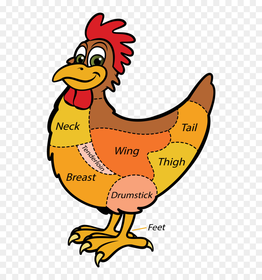 Mutton Clipart Chicken Wing - Different Kind Clipart, HD Png Download - chicken png