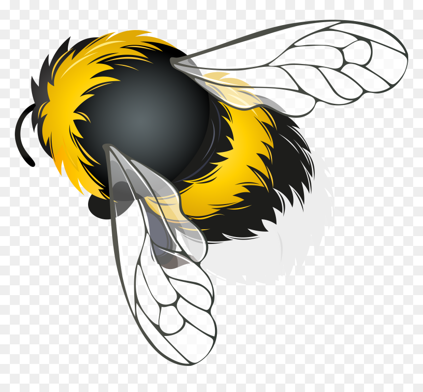 Bee Png Clipart - Bee Clipart Png, Transparent Png - bee png