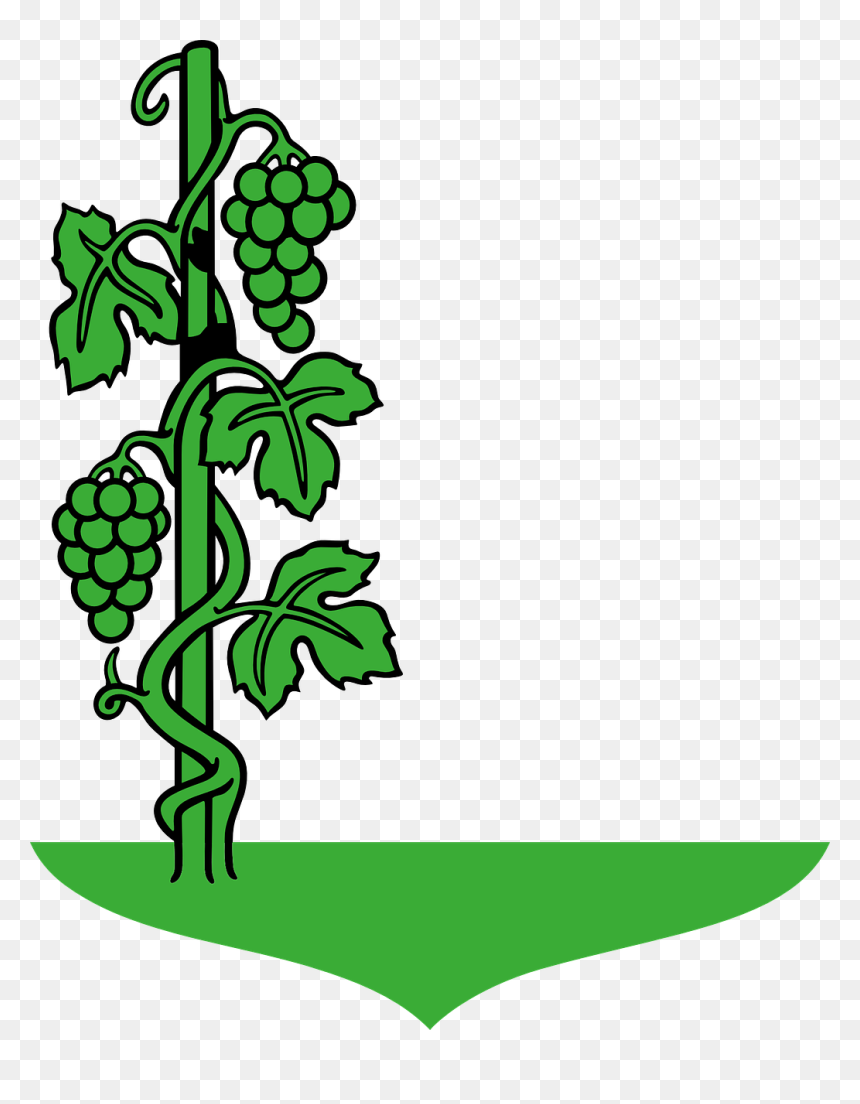 Draw A Grape Tree, HD Png Download - vines png