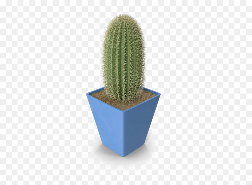 Saguaro Cactus Png Photo - Weberocereus, Transparent Png - cactus png