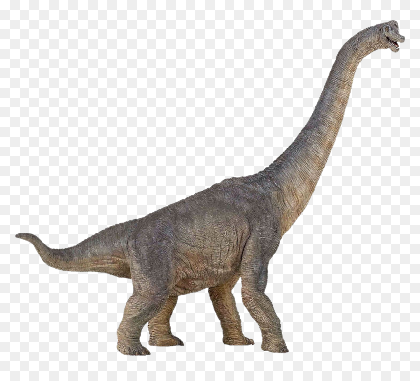 Dinosaur Png Image - Papo Brachiosaurus, Transparent Png - dinosaur png