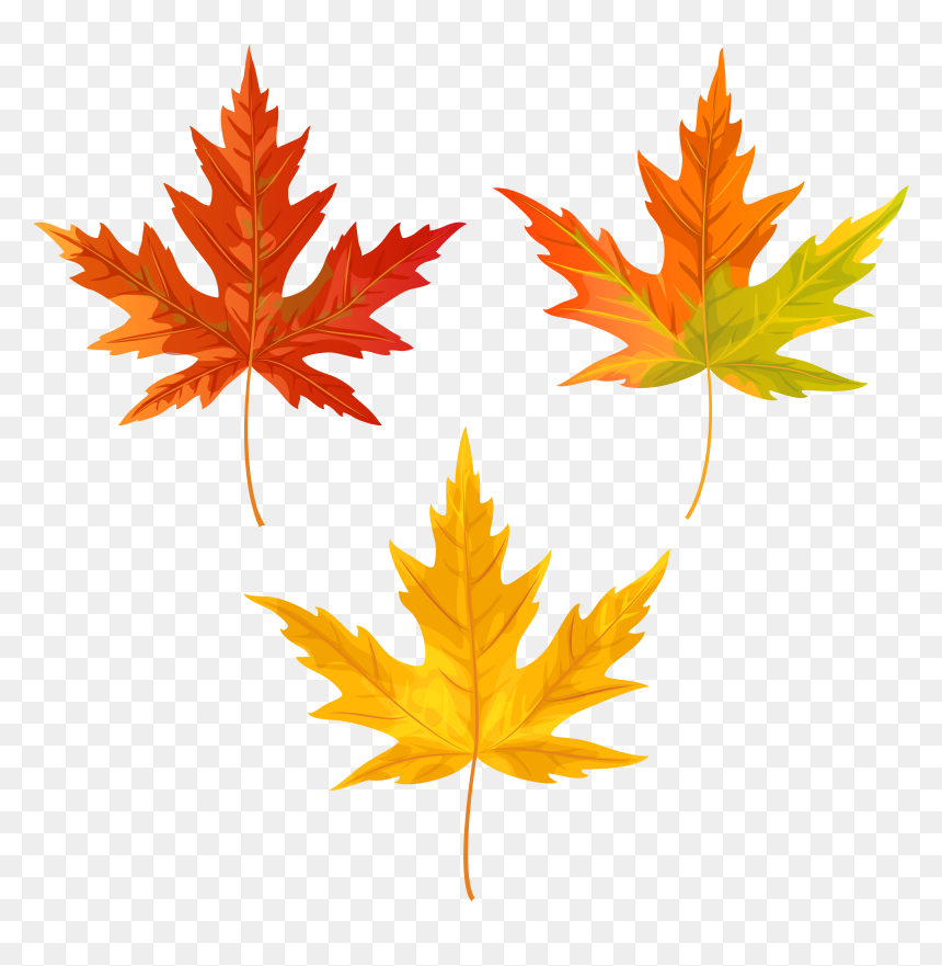 Fall Leaves Png Clip Art Image, Is Available For Free, Transparent Png - fall leaves png