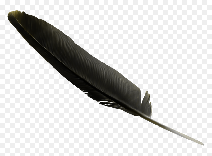 Feather Black Clip Art - Black Feather Png, Transparent Png - feather png