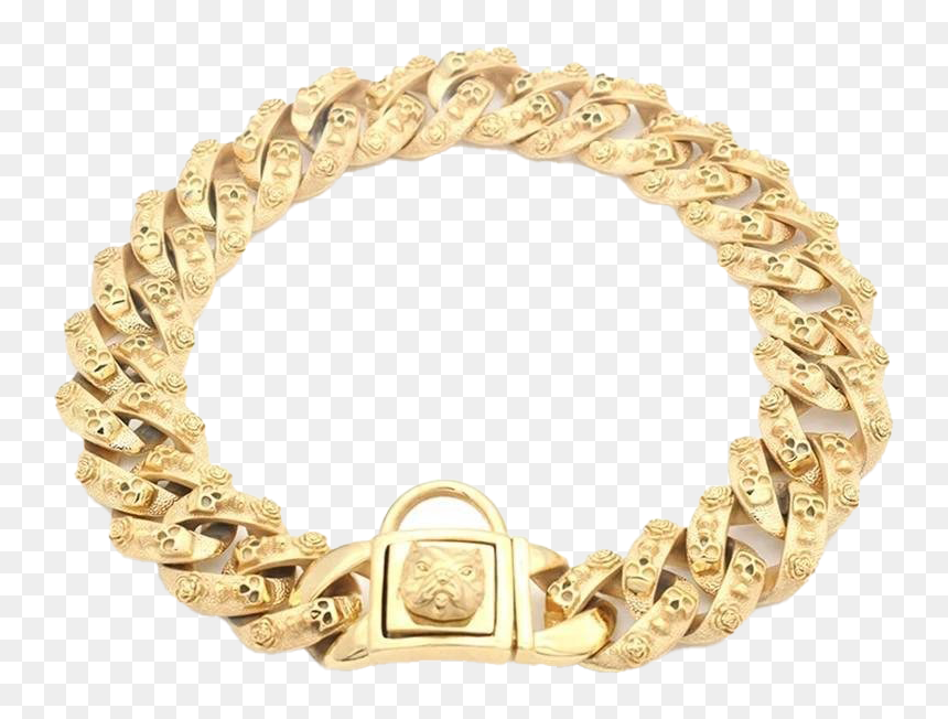 Gold Dog Chain - Dog Collar Stainless Steel, HD Png Download - gold chain png