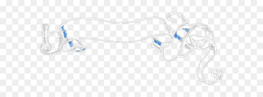 Transparent Blue Scroll Png Icons - Sketch, Png Download - scroll png