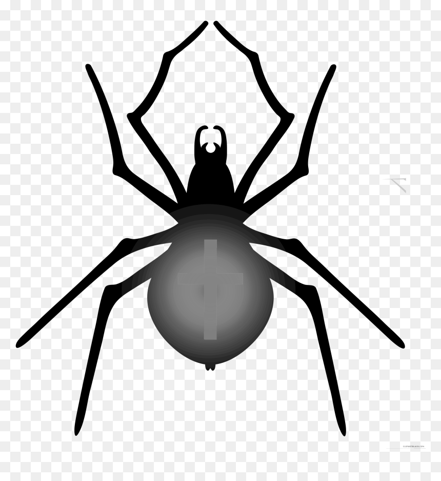 Halloween Halloween Spiders To Makehalloween Imageshalloween - Clip Art Spider Halloween, HD Png Download - spider png