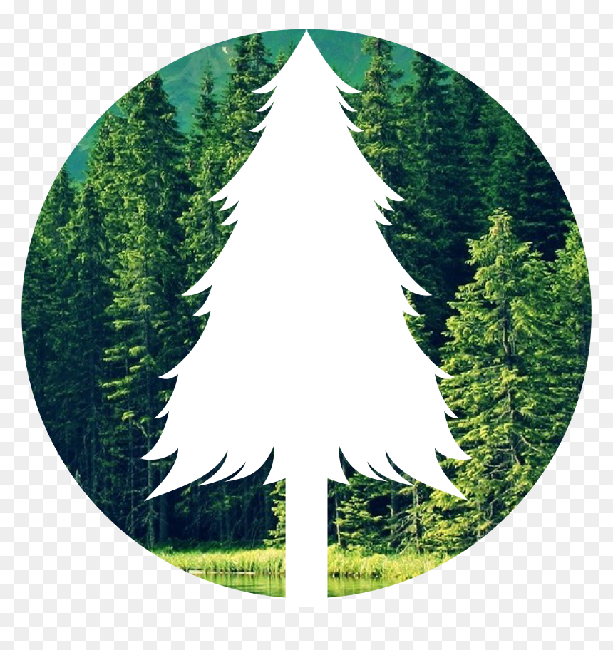 The Forest Png - Portable Network Graphics, Transparent Png - forest png