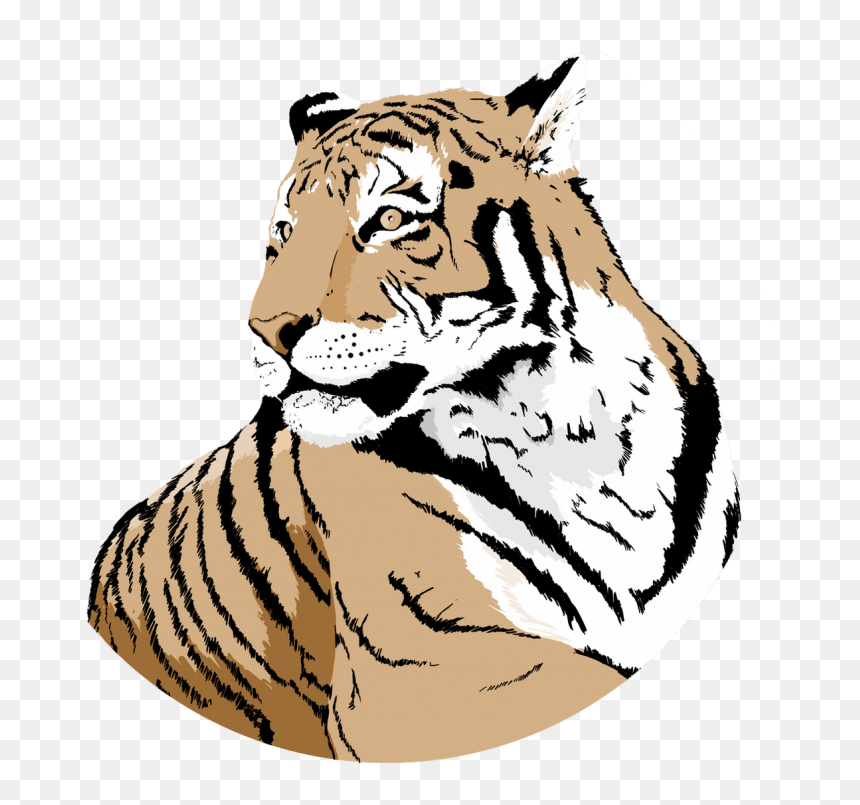 Siberian Tiger, HD Png Download - tiger png