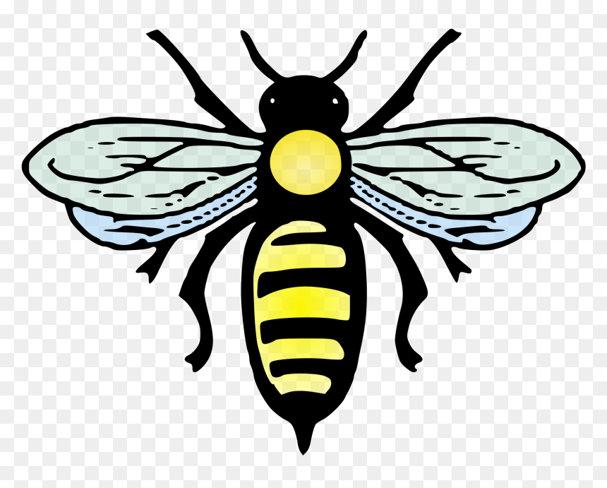 Transparent Abeille Clipart - Bee Positive, HD Png Download - bee png