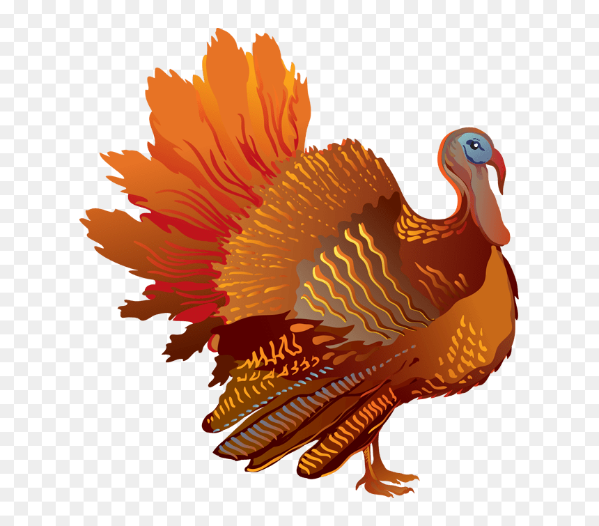 Thanksgiving Sideview Png Stickpng - Turkey Thanksgiving Transparent Background, Png Download - thanksgiving png
