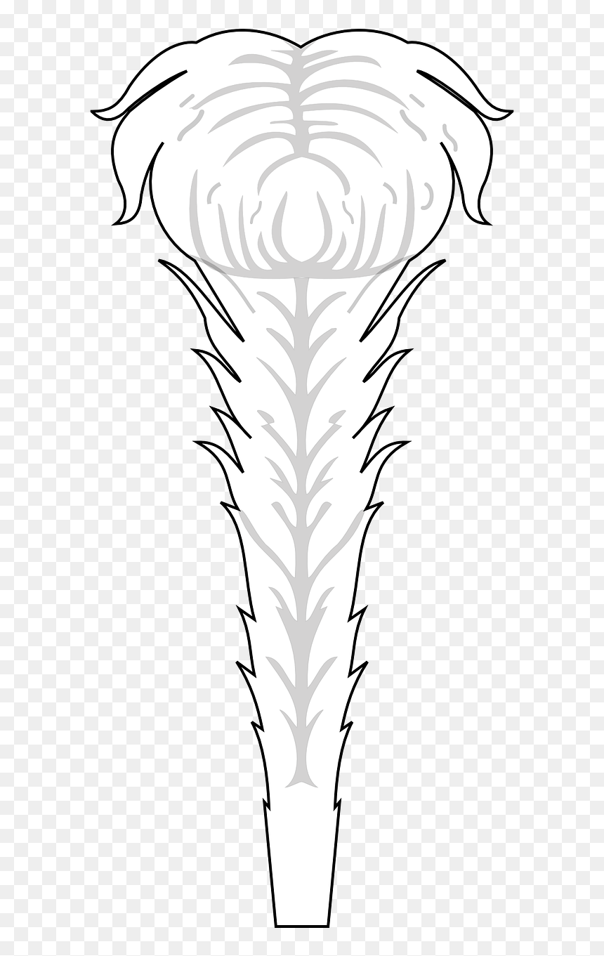 Illustration, HD Png Download - feather png