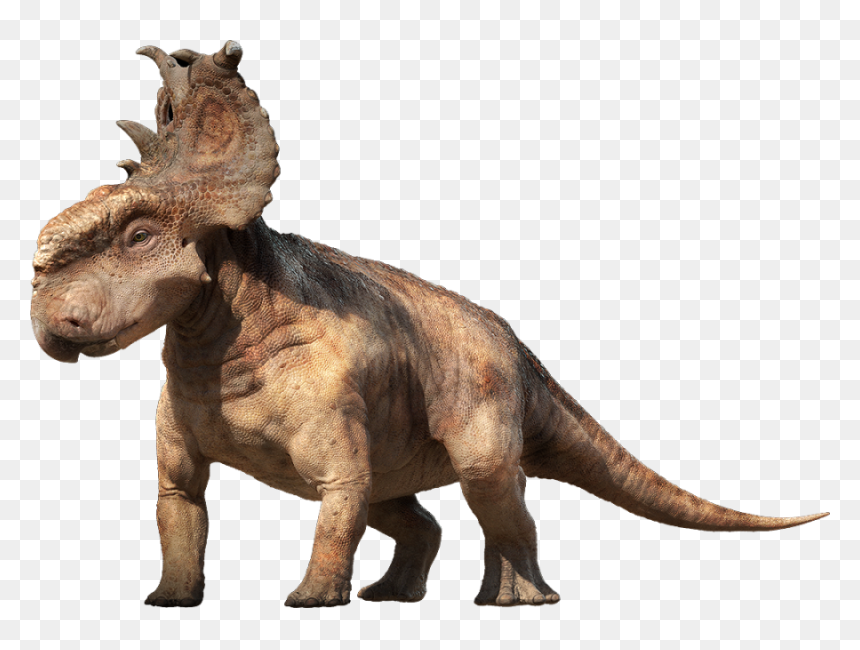 Dinosaur Png Image - Pachyrhinosaurus Dinosaurs, Transparent Png - dinosaur png
