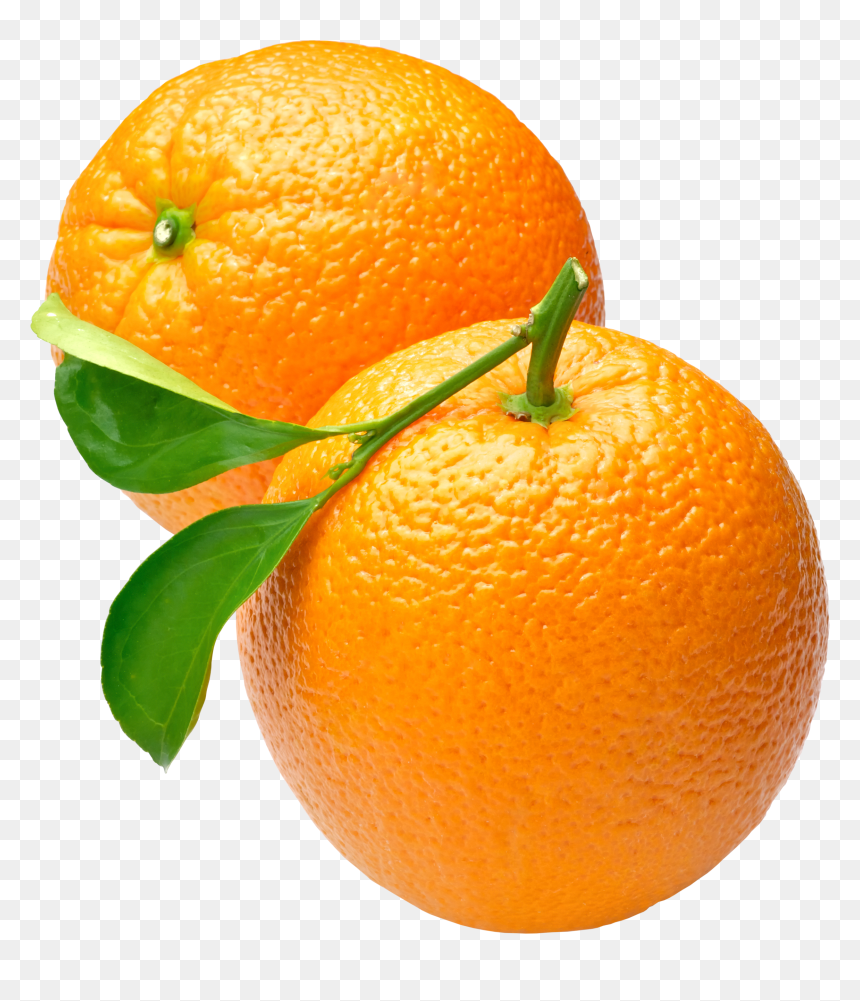 Orange Png Image Free Download - Orange Png, Transparent Png - orange png