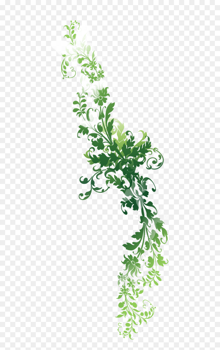 Thumb Image - Nature Png, Transparent Png - vine png