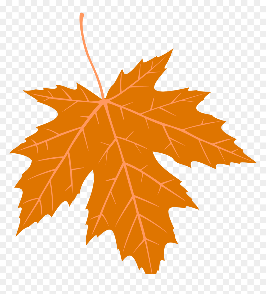 Maple Leaf, HD Png Download - thanksgiving png