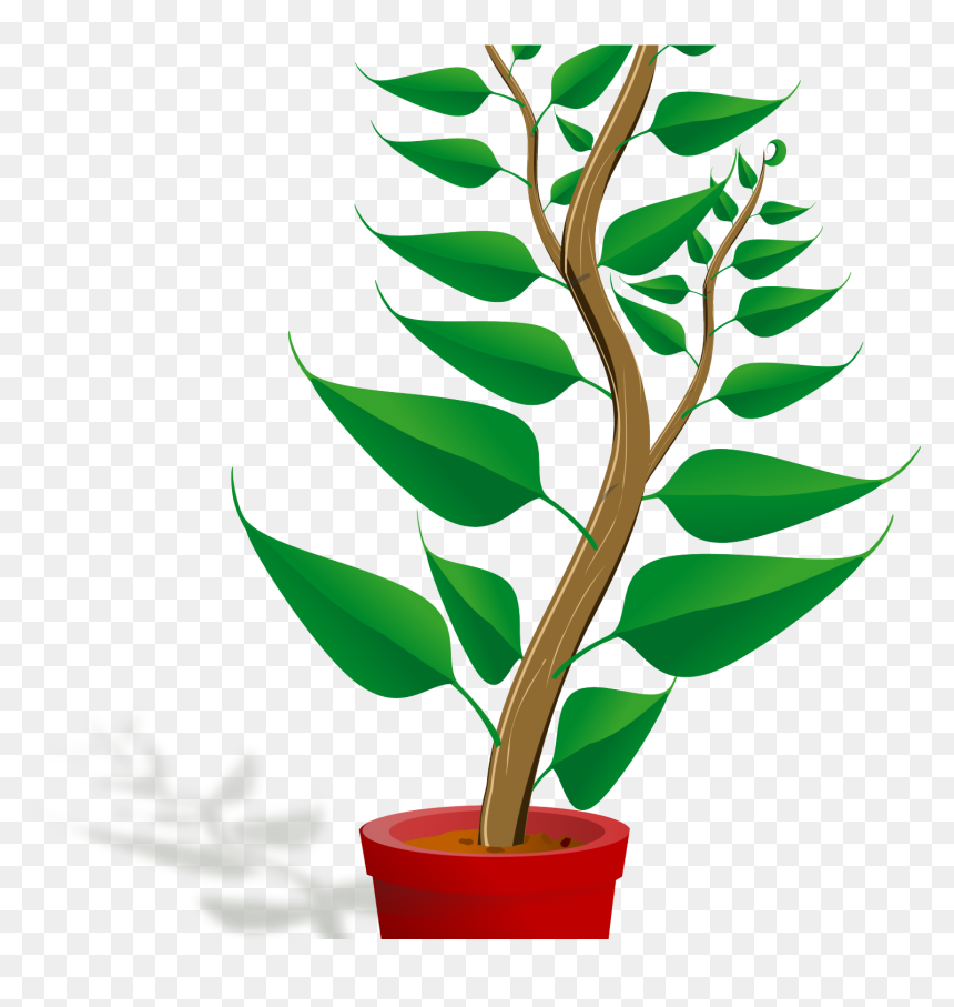 Clip Art Mehmetcetinsozler Com Popular Categories Love - Plant Clipart Png, Transparent Png - plants png