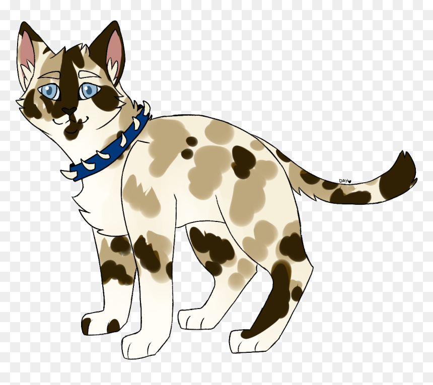 Cat Jumps, HD Png Download - starburst png